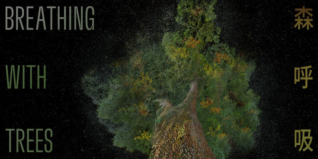 Breathing with Trees Culture Plus
